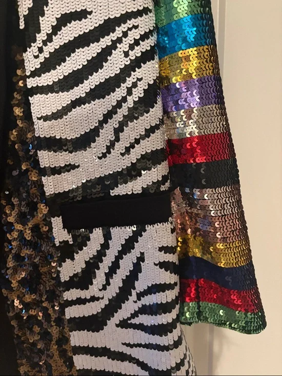 Alice + Olivia Multicolor Sequin Zebra Stripe Blazer - Picture 4 of 6